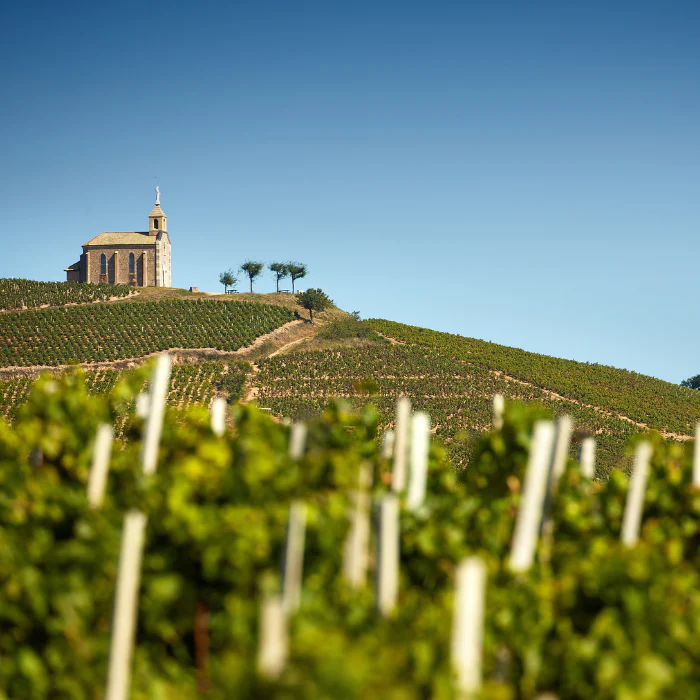 2022 Beaune Clos des Mouches Blanc, Burgund, Frankreich - Image 3