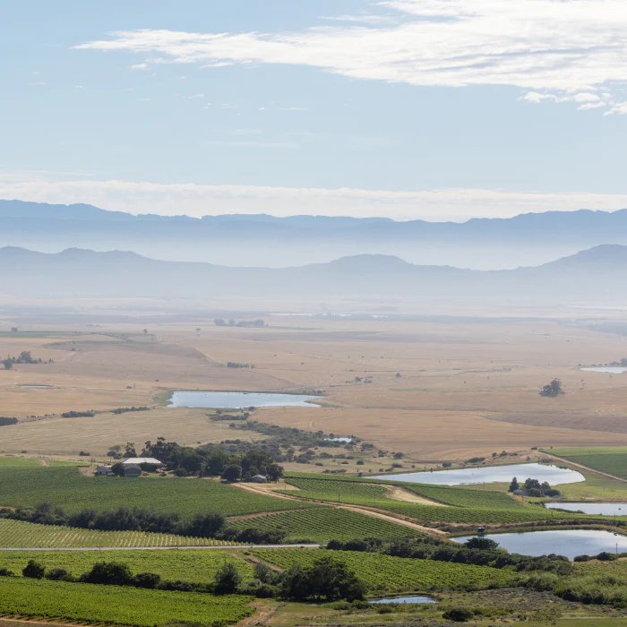 Chenin Blanc, Swartland, Südafrika - Image 4