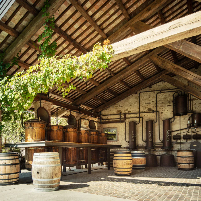Grappa Moscato - Image 3