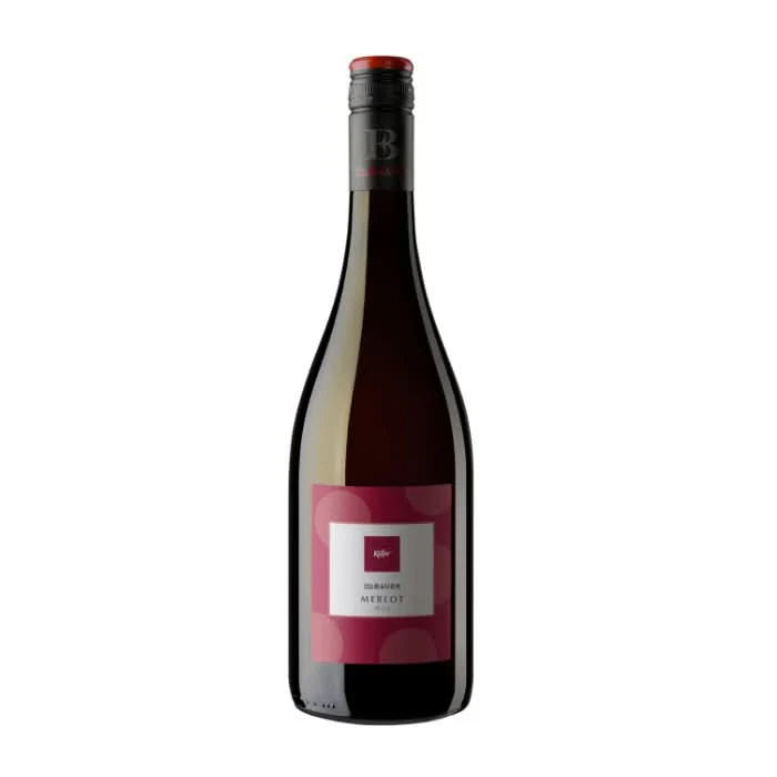Käfer Merlot, Pfalz, Deutschland