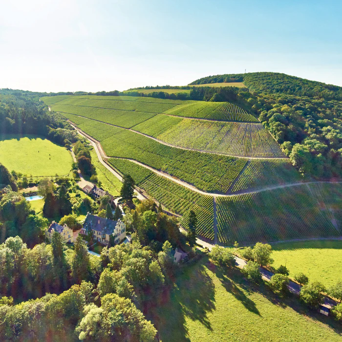 Schloss Riesling, Mosel, Deutschland - Image 2