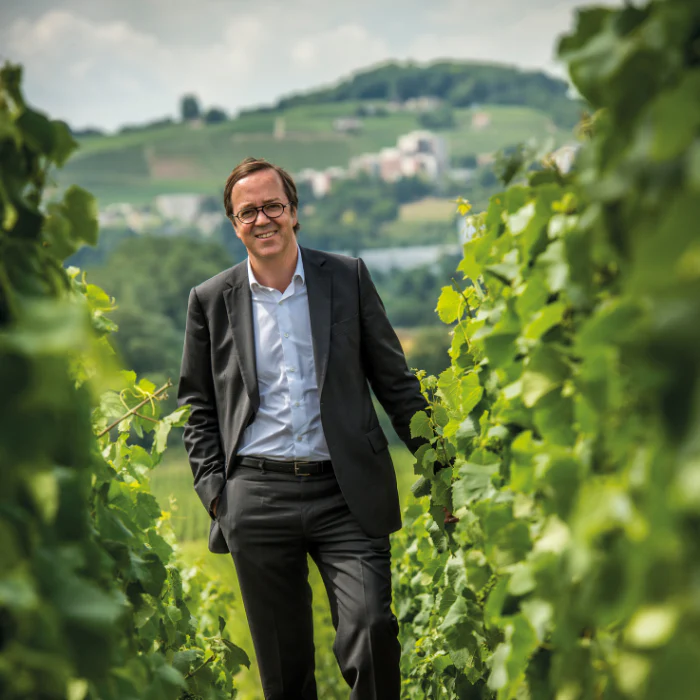 Louis Roederer Collection, Champagne, Frankreich - Image 5
