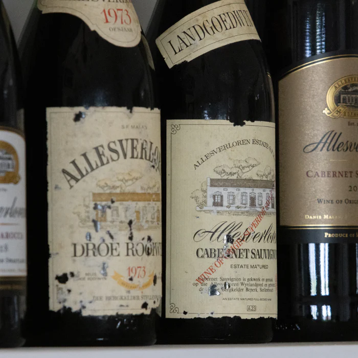 Shiraz, Swartland, Südafrika - Image 3
