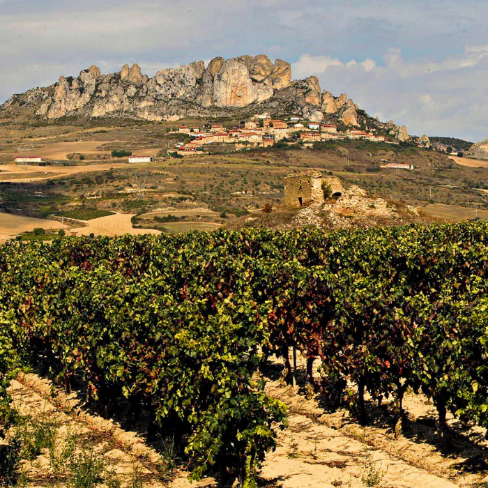 Tarón Tempranillo, Rioja, Spanien - Image 3